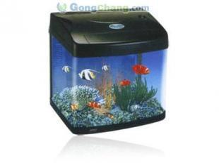 供應(yīng)生態(tài)魚(yú)缸與水族箱配件及技術(shù)轉(zhuǎn)讓一站式解決方案